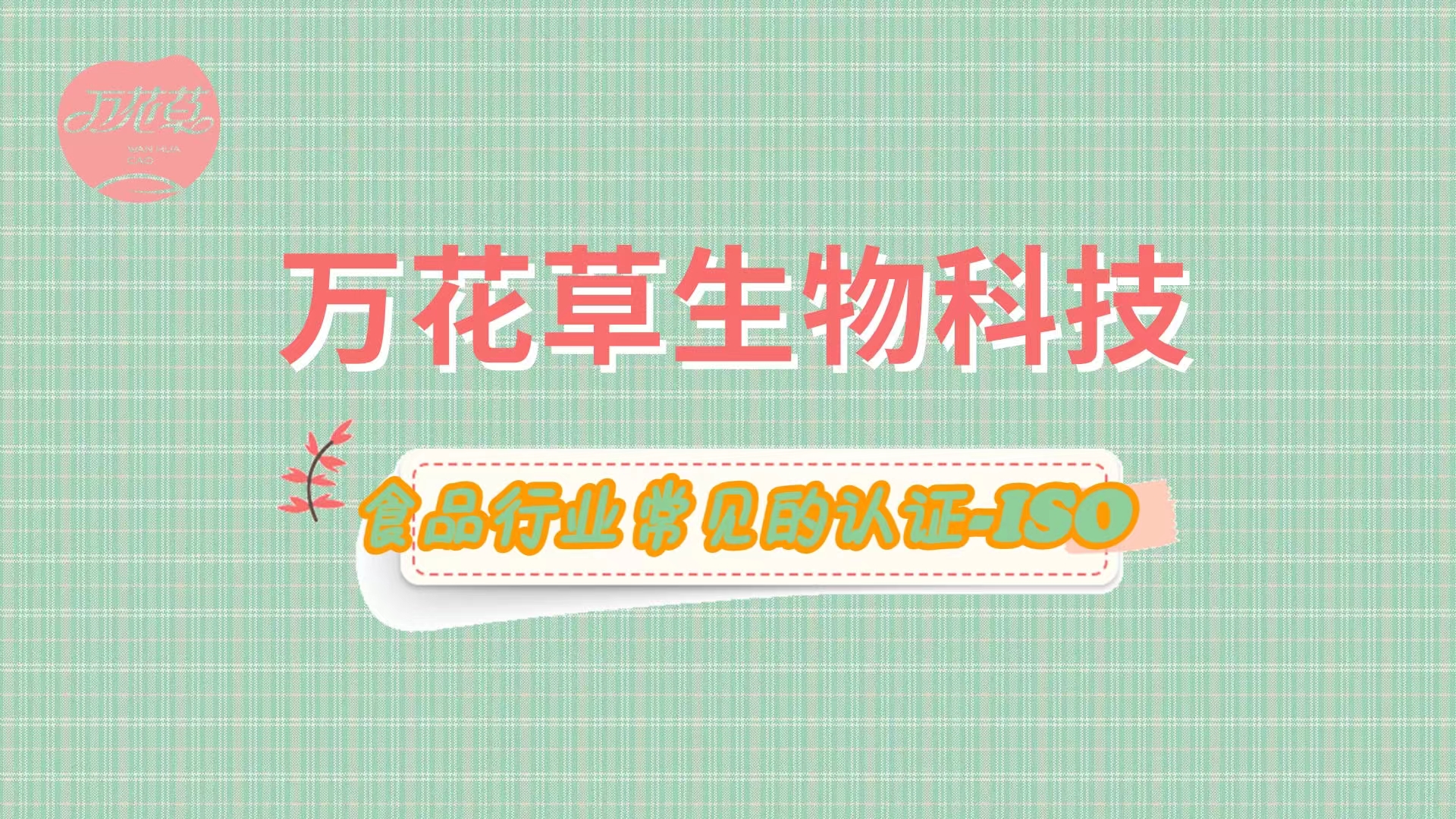 什么是體系認證？梳理一下食品行業常見的認證