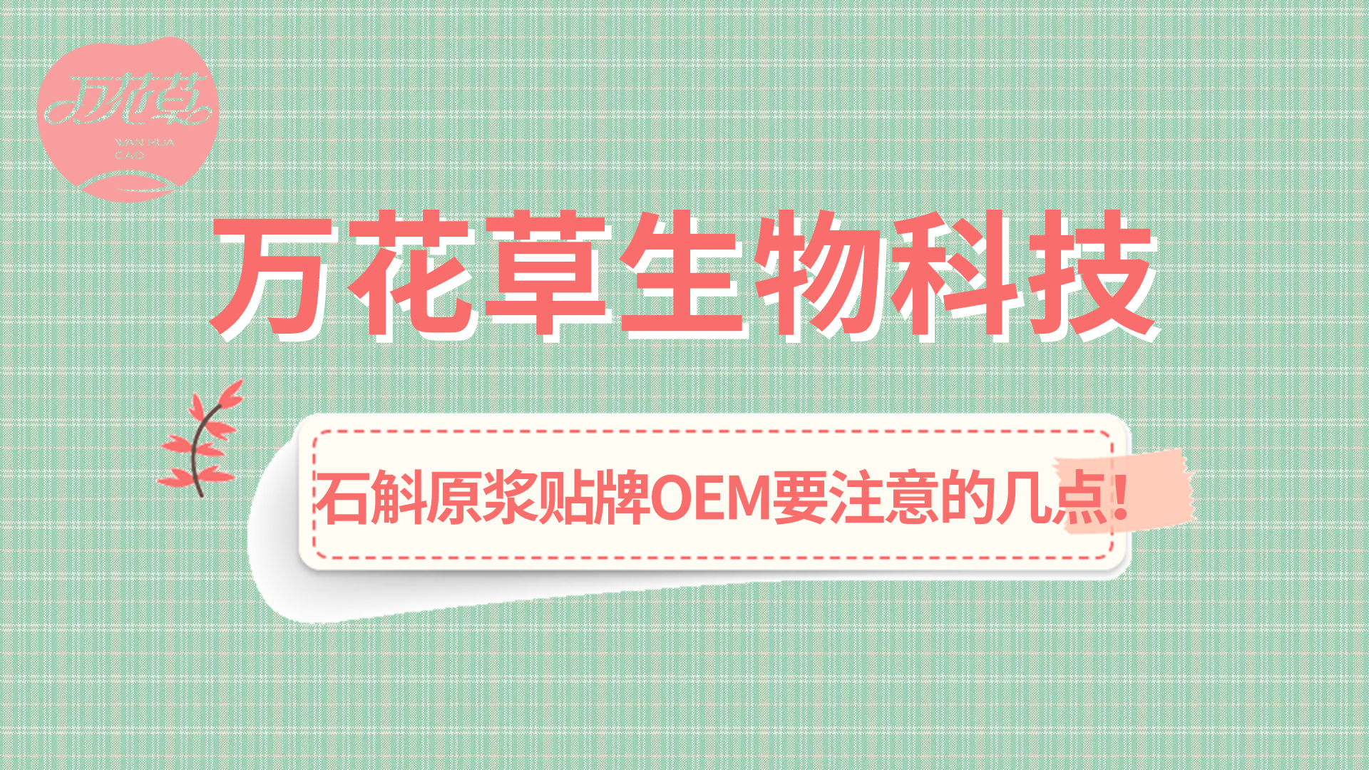 石斛原漿貼牌oem您需要注意哪幾點？